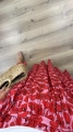 IMG_7785.jpeg