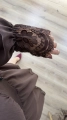 IMG_7572.jpeg